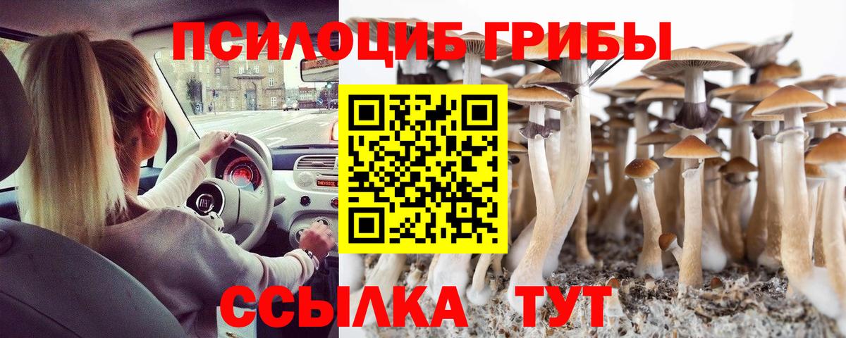 Псилоцибиновые грибы прущие грибы Самара
