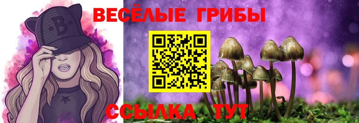 Псилоцибиновые грибы Psilocybine cubensis  Вход с VPN  Самара 